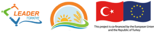 Leader Türkiye